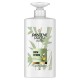 Pantene Pro-V Miracles Grow Strong Shampoo - 500ml-
